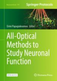 Image of All-Optical Methods to Study Neuronal Function