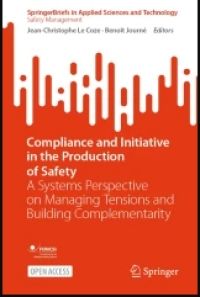 Image of Compliance and Initiative in the Production of Safety