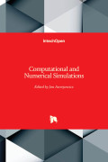 Computational and Numerical Simulations