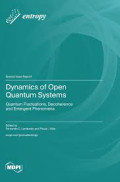 Dynamics of Open Quantum Systems