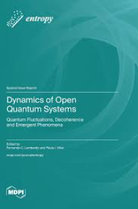 Image of Dynamics of Open Quantum Systems