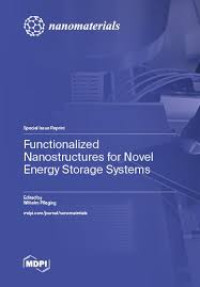 Image of Functionalized Nanostructures for Novel Energy Storage Systems