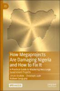 Image of How Megaprojects Are Damaging Nigeria and How to Fix It