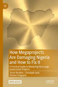 Image of How Megaprojects Are Damaging Nigeria and How to Fix It