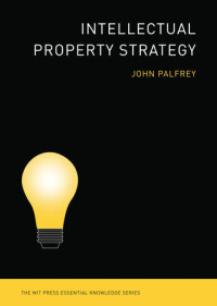 Image of Intellectual Property Strategy
