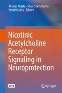 Image of Nicotinic Acetylcholine Receptor Signaling in Neuroprotection