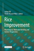 Rice Improvement