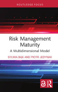 Image of Risk Management Maturity