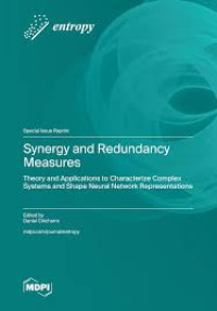 Image of Synergy and Redundancy Measures