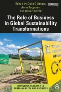 Image of The Role of Business in Global Sustainability Transformations