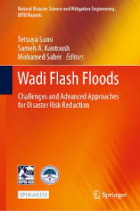 Image of Wadi Flash Floods