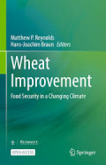 Wheat Improvement